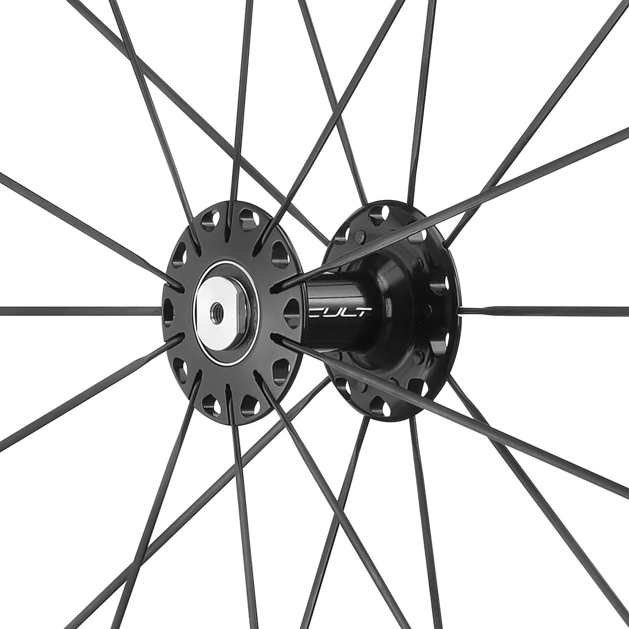 Pista
