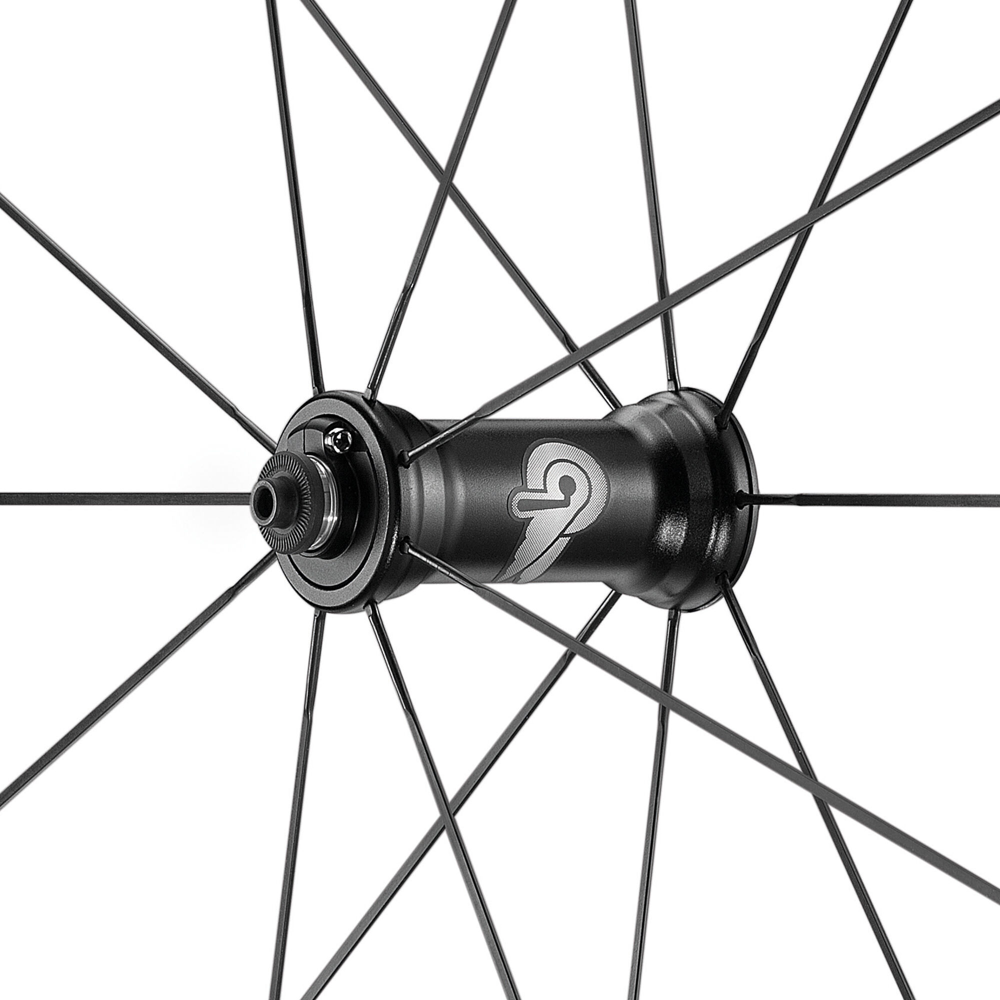 Rines store campagnolo ruta