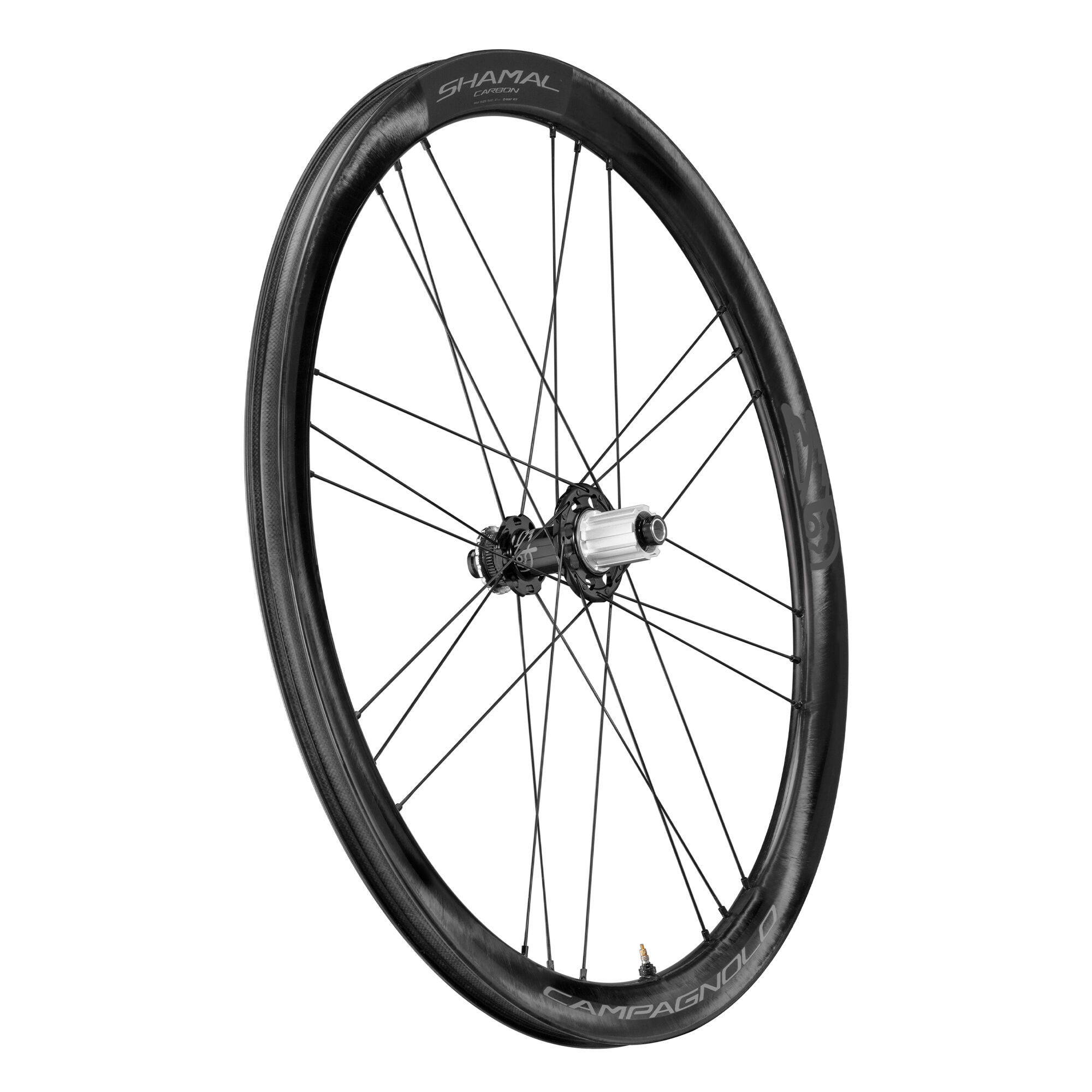 Campagnolo shamal hotsell gravel