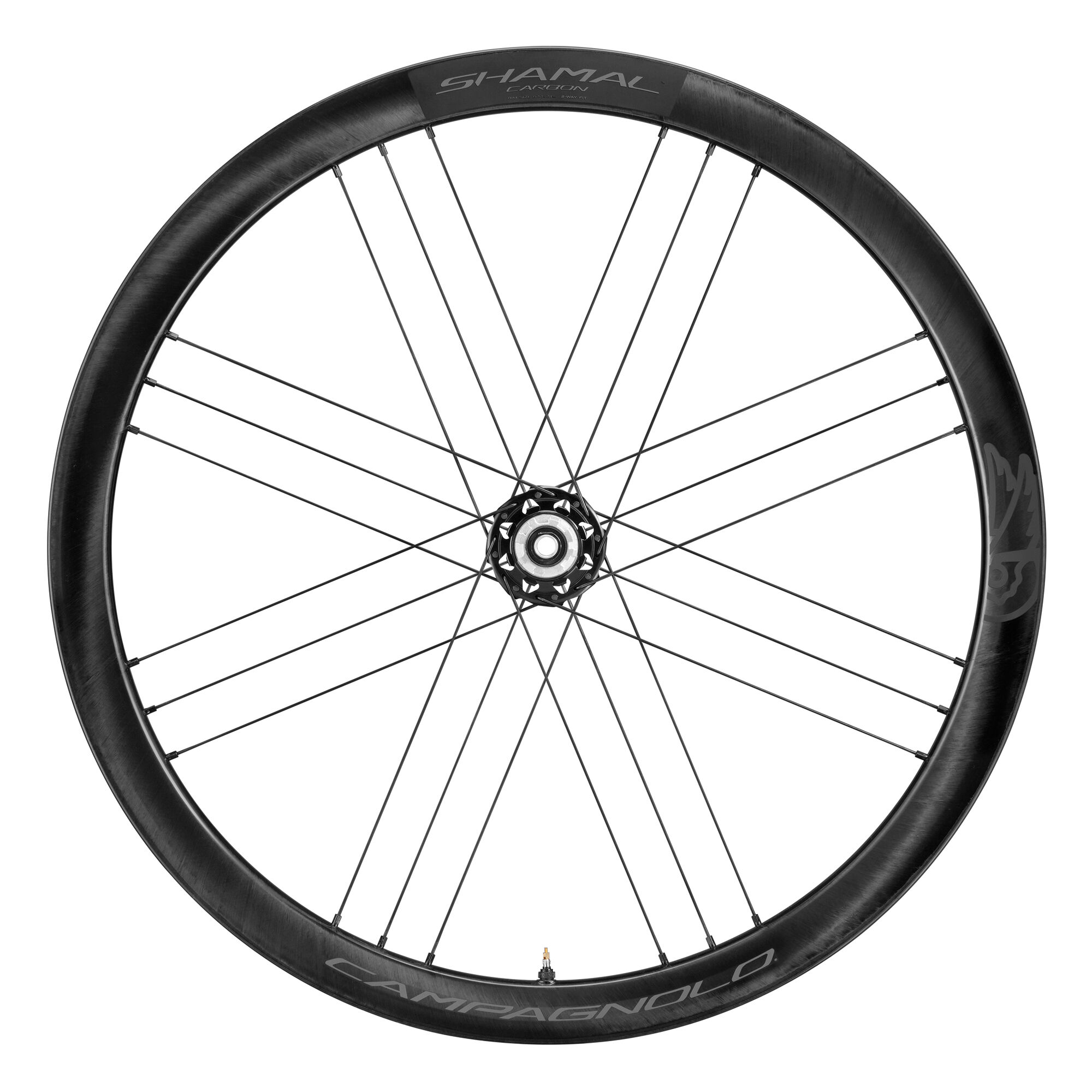 Campagnolo shamal on sale carbon disc