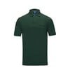 POLO LOGO - BLUE, GREEN, hi-res-1