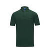POLO LOGO - BLUE, GREEN, hi-res-1