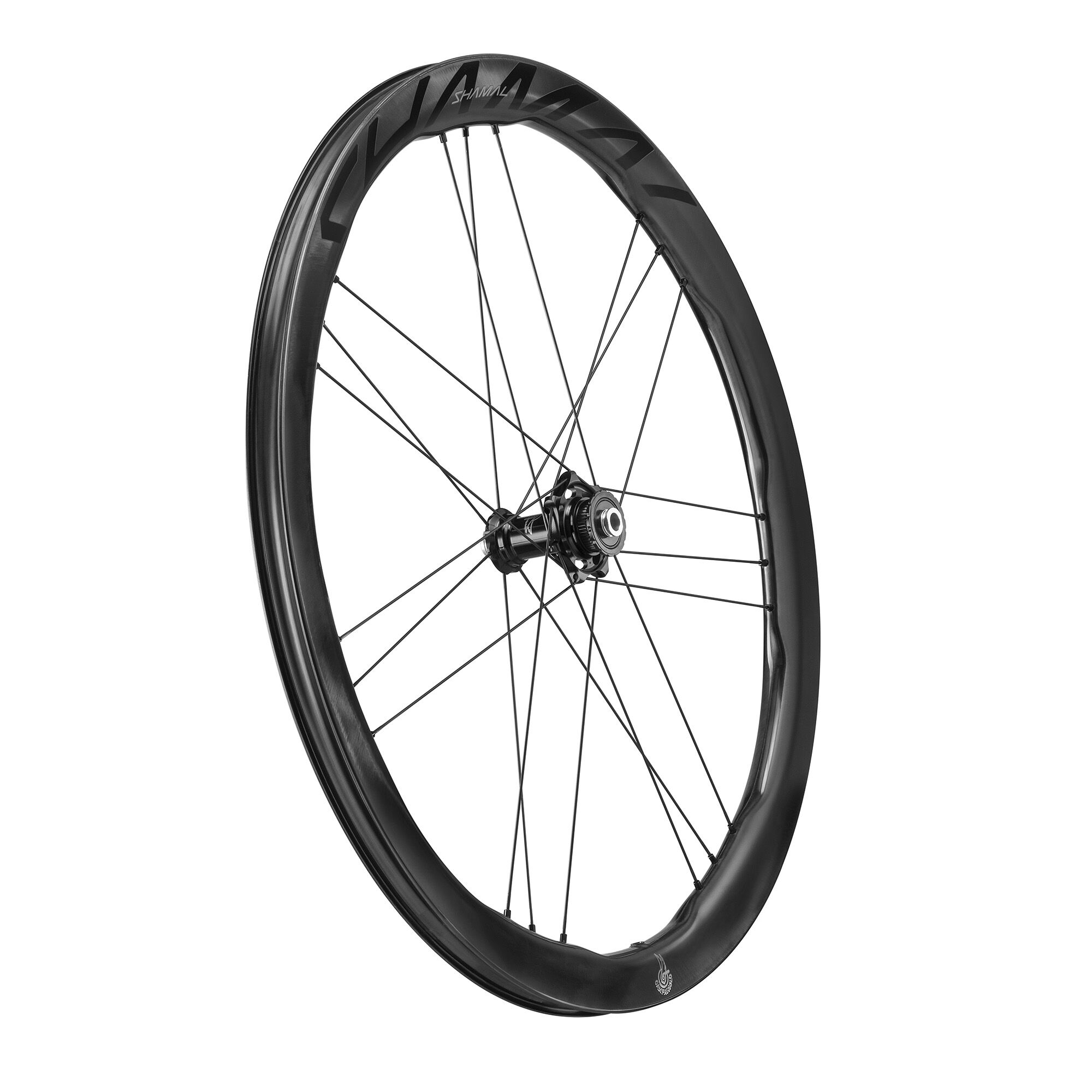 パーツ CAMPAGNOLO SHAMAL ULTRA DISC Campagnolo's race-ready everyday Shamal Ultra tubeless