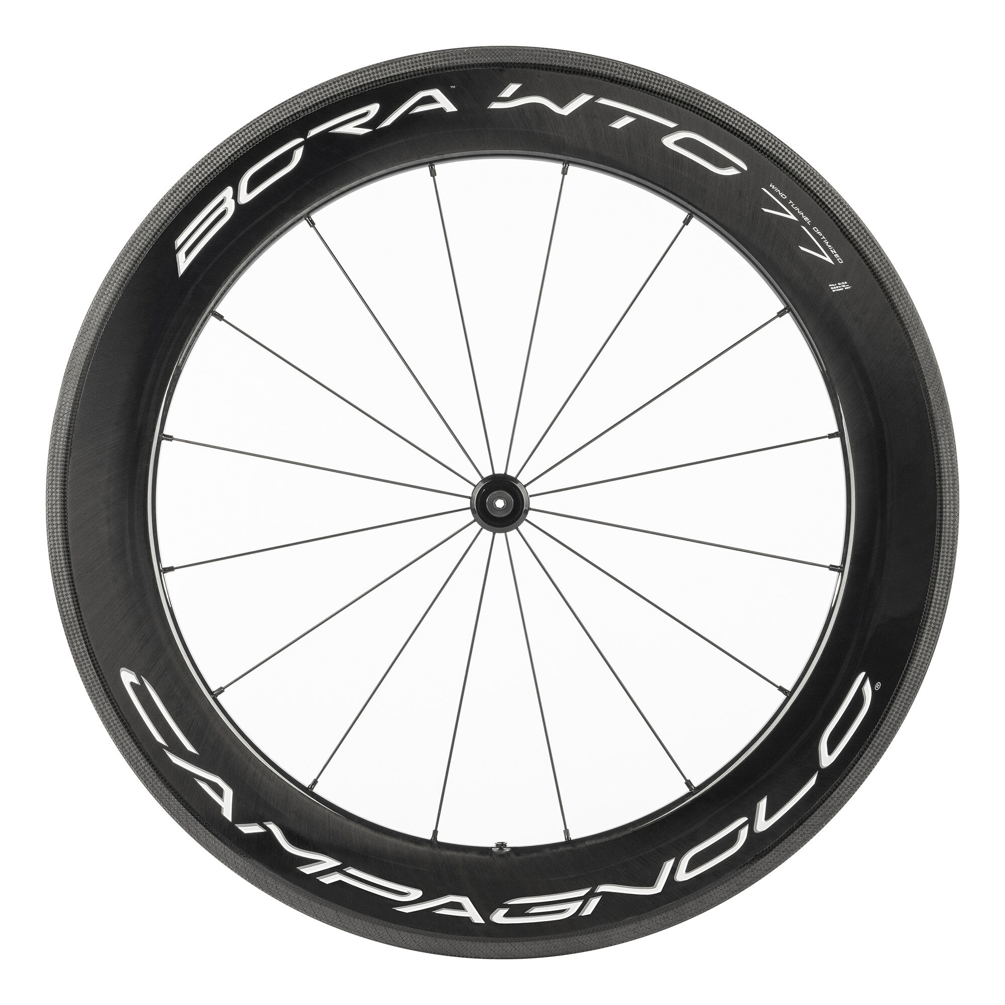 Campagnolo bike wheels on sale