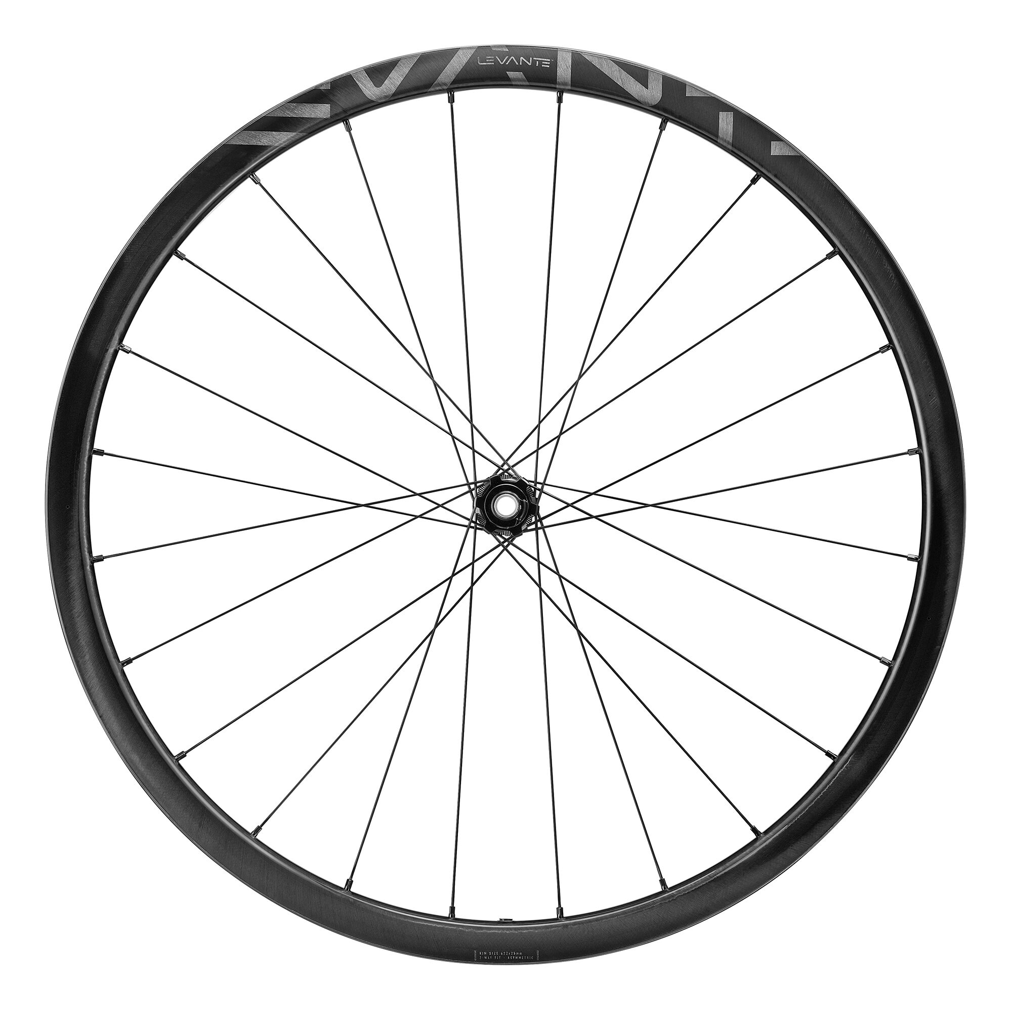 Campagnolo 10 speed wheelset online